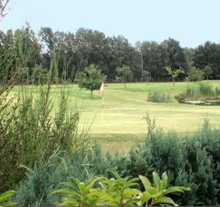 Landhotel Waldseiter Hof Bad Bentheim Exteriör bild