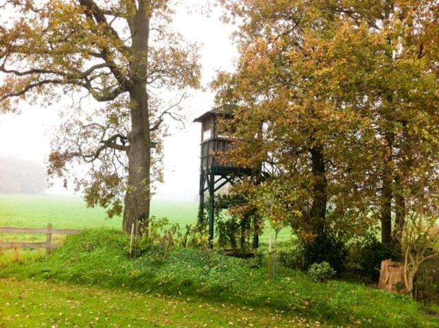 Landhotel Waldseiter Hof Bad Bentheim Exteriör bild